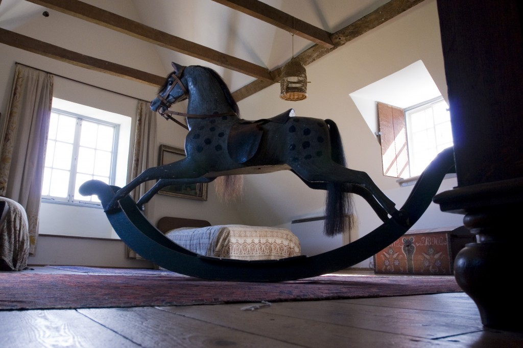 Horse1