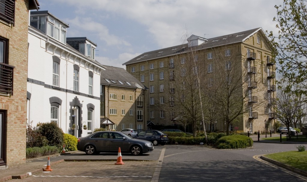 Mill Site 1