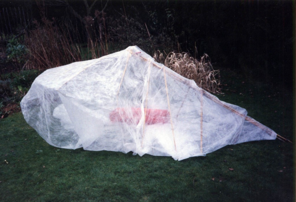 Cocoon4
