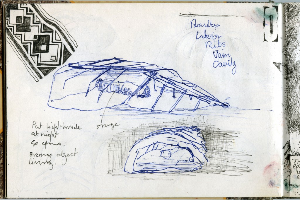 CocoonSketch1