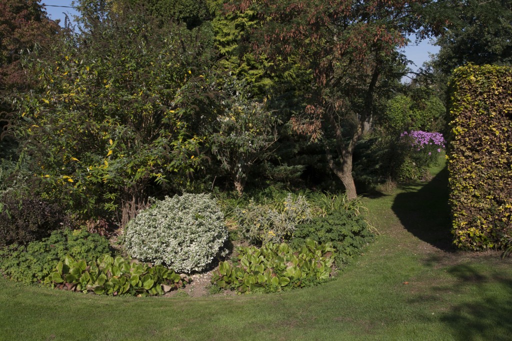 This lovely looking bed of shrubs and trees conceals the bomb shelter. The entrance cut through the bush in Part 1 is at the far end on the left. The blocked entrance come up under the bushes in the foreground!